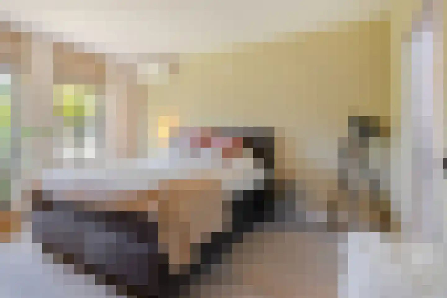Egelweide 6 Veghel thumbnail 20