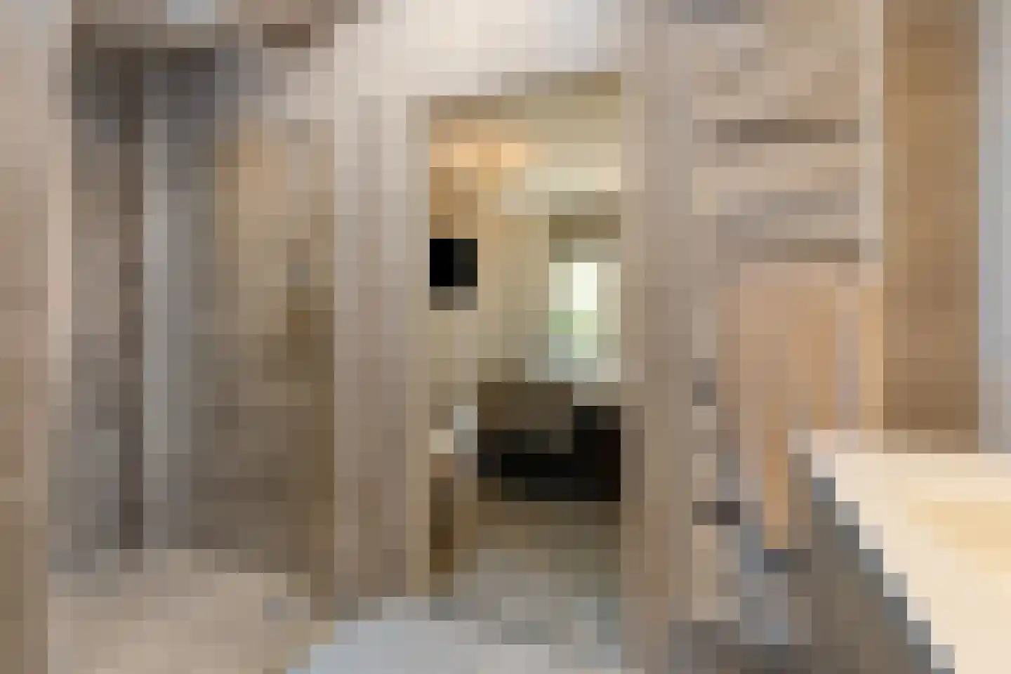 Egelweide 6 Veghel thumbnail 24