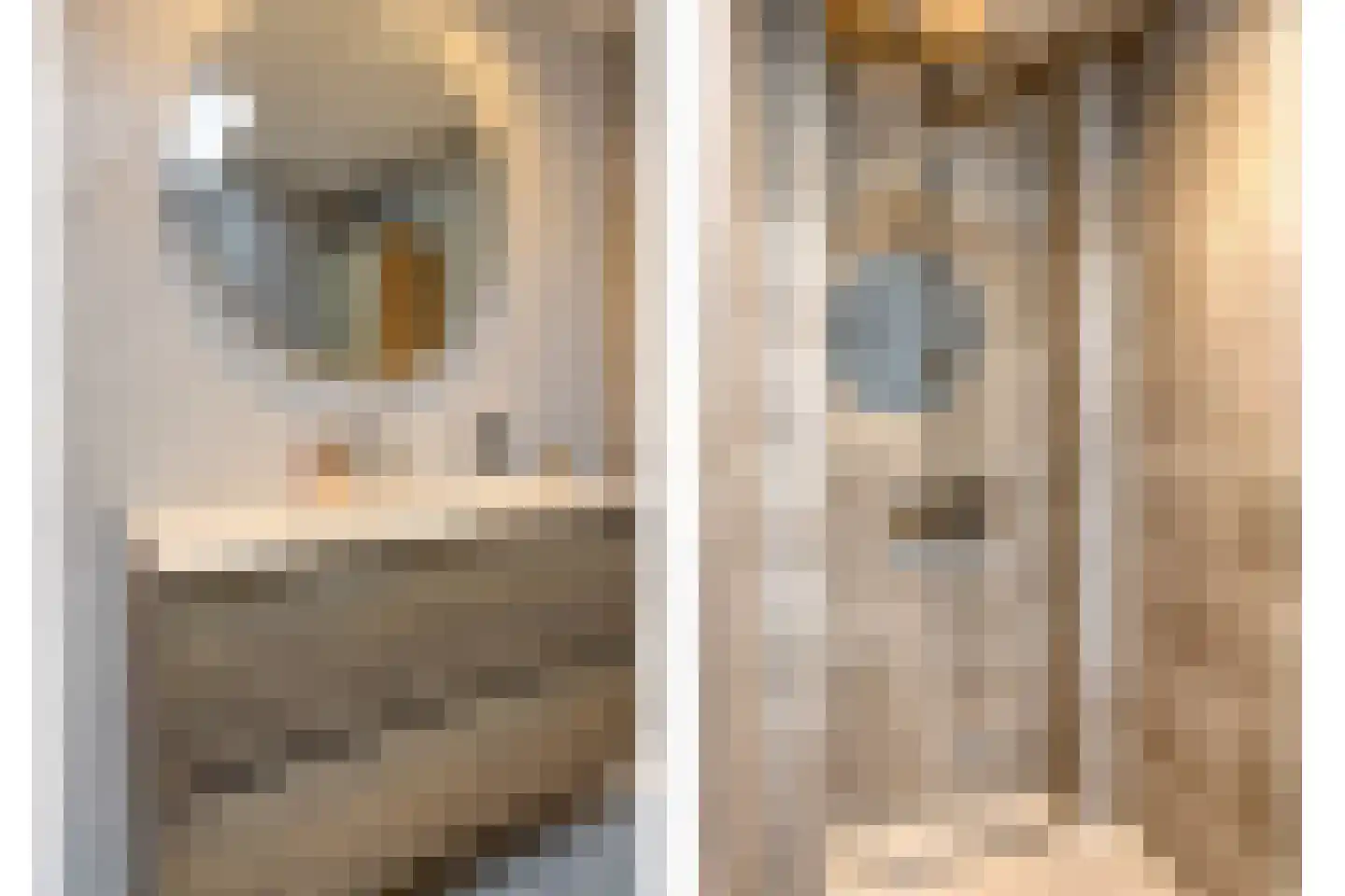Egelweide 6 Veghel thumbnail 25