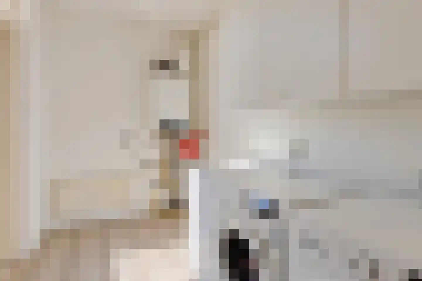 Egelweide 6 Veghel thumbnail 26