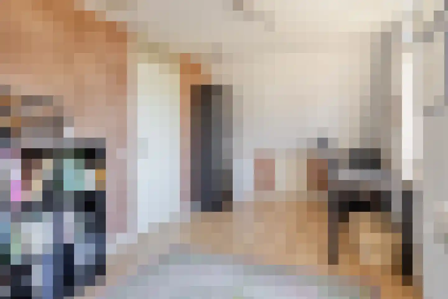 Egelweide 6 Veghel thumbnail 30