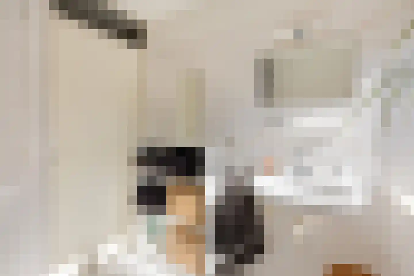 Egelweide 6 Veghel thumbnail 33