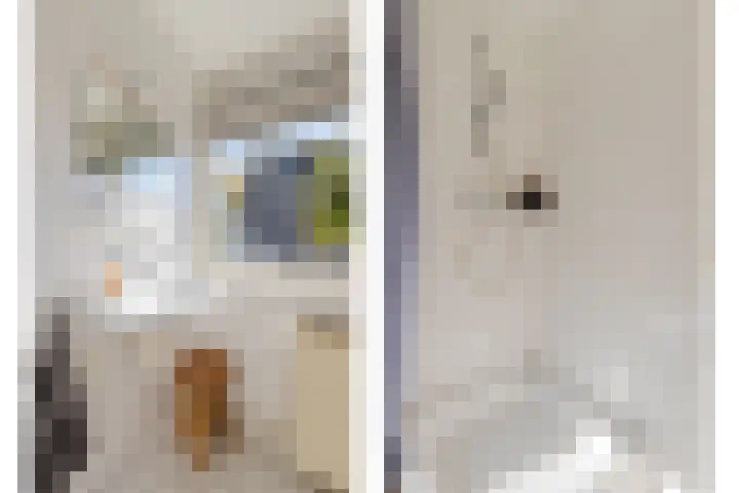 Egelweide 6 Veghel thumbnail 34