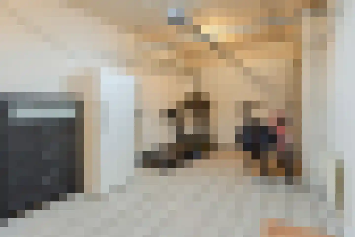 Egelweide 6 Veghel thumbnail 35
