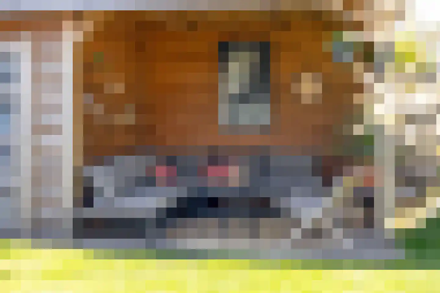 Egelweide 6 Veghel thumbnail 43