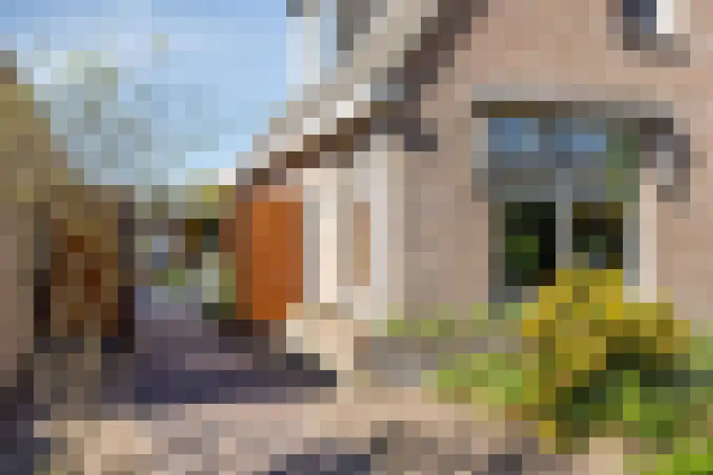 Egelweide 6 Veghel thumbnail 45