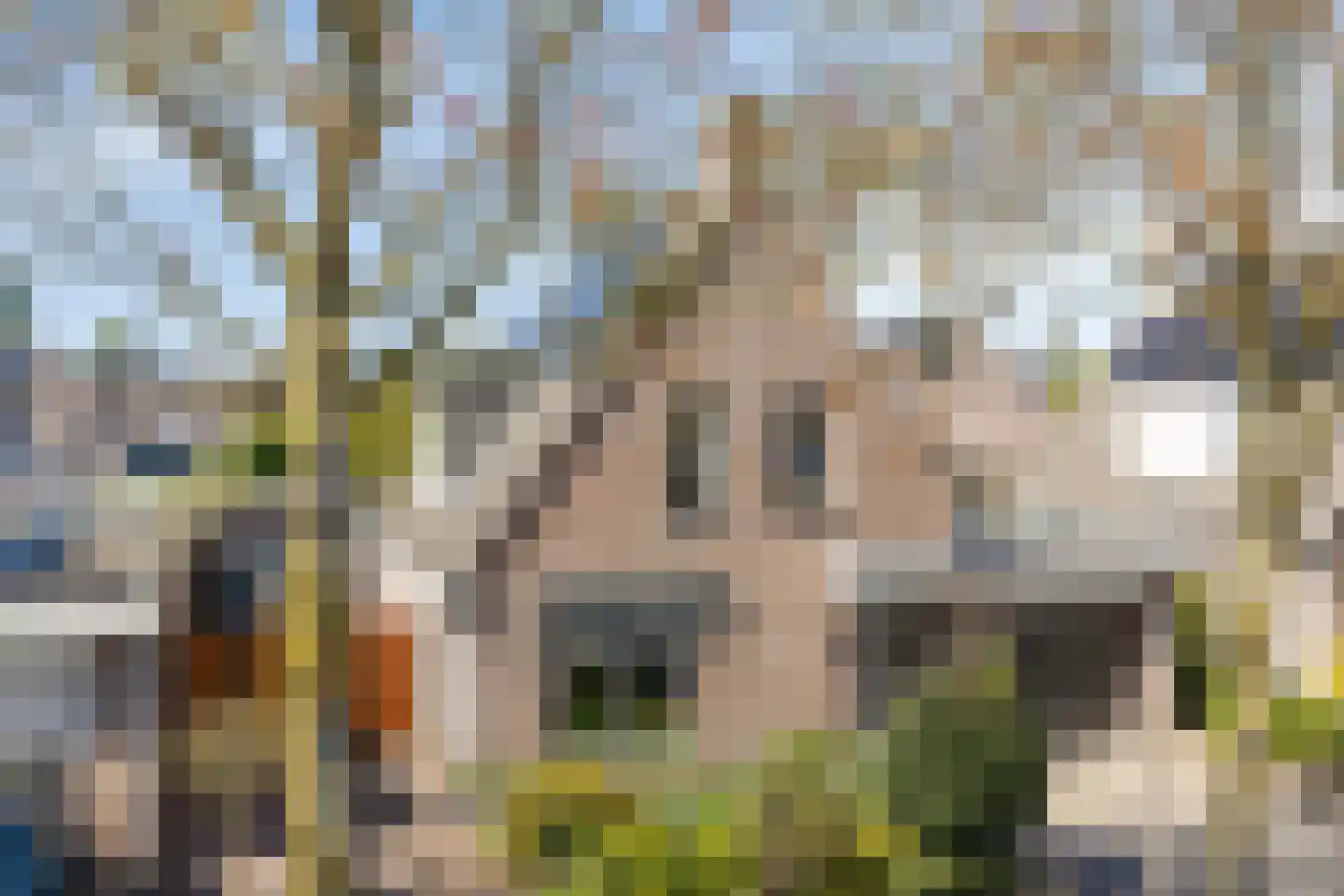 Egelweide 6 Veghel thumbnail 52