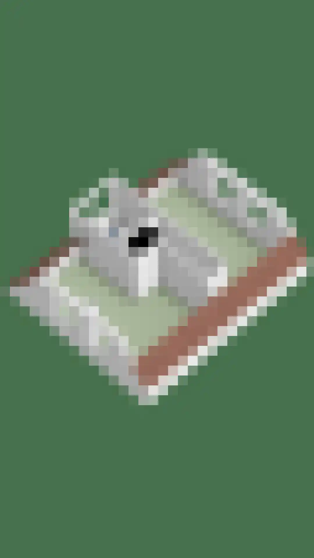 Egelweide 6 Veghel thumbnail 60