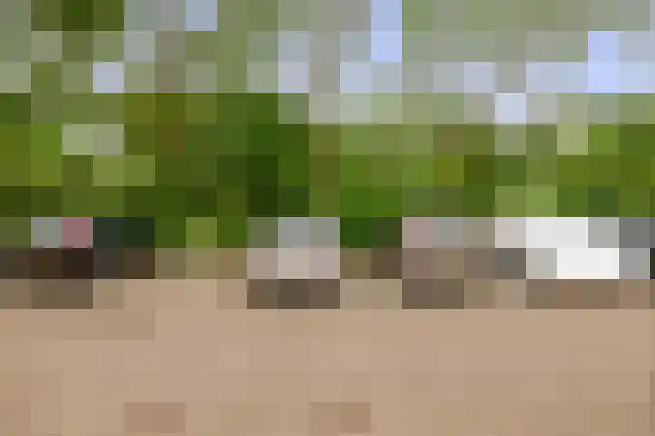 Egergaard 28 Spijkenisse thumbnail 11