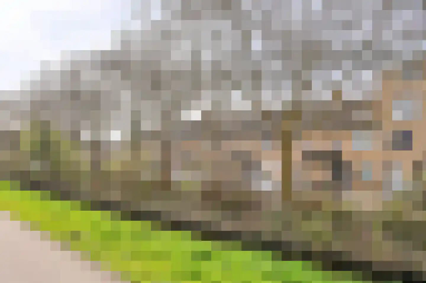 Egergaard 34 Spijkenisse thumbnail 6