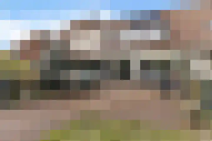 Egge 11 Delfzijl thumbnail 10