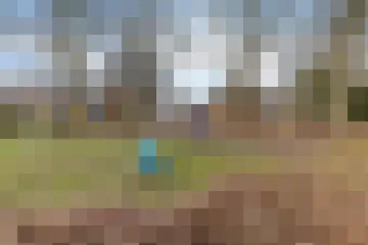 Egge 11 Delfzijl thumbnail 12