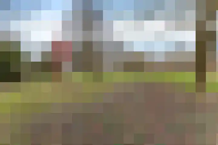 Egge 11 Delfzijl thumbnail 13