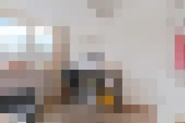 Egge 11 Delfzijl thumbnail 29