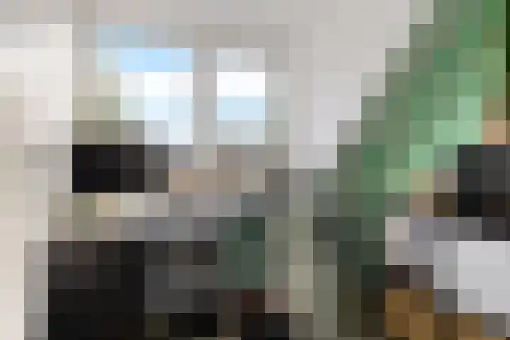 Egge 11 Delfzijl thumbnail 30