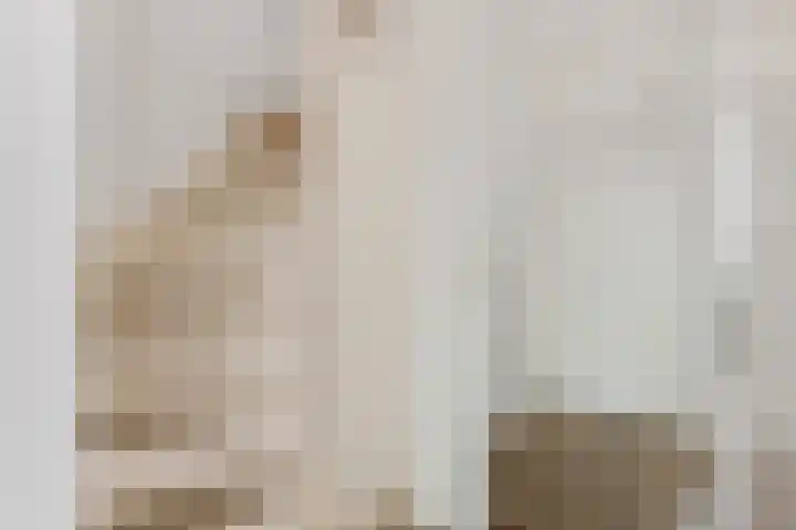 Egge 11 Delfzijl thumbnail 33