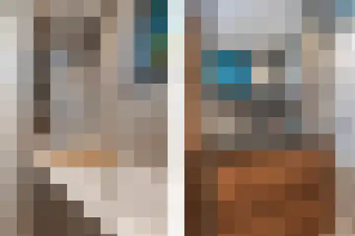 Egge 11 Delfzijl thumbnail 4