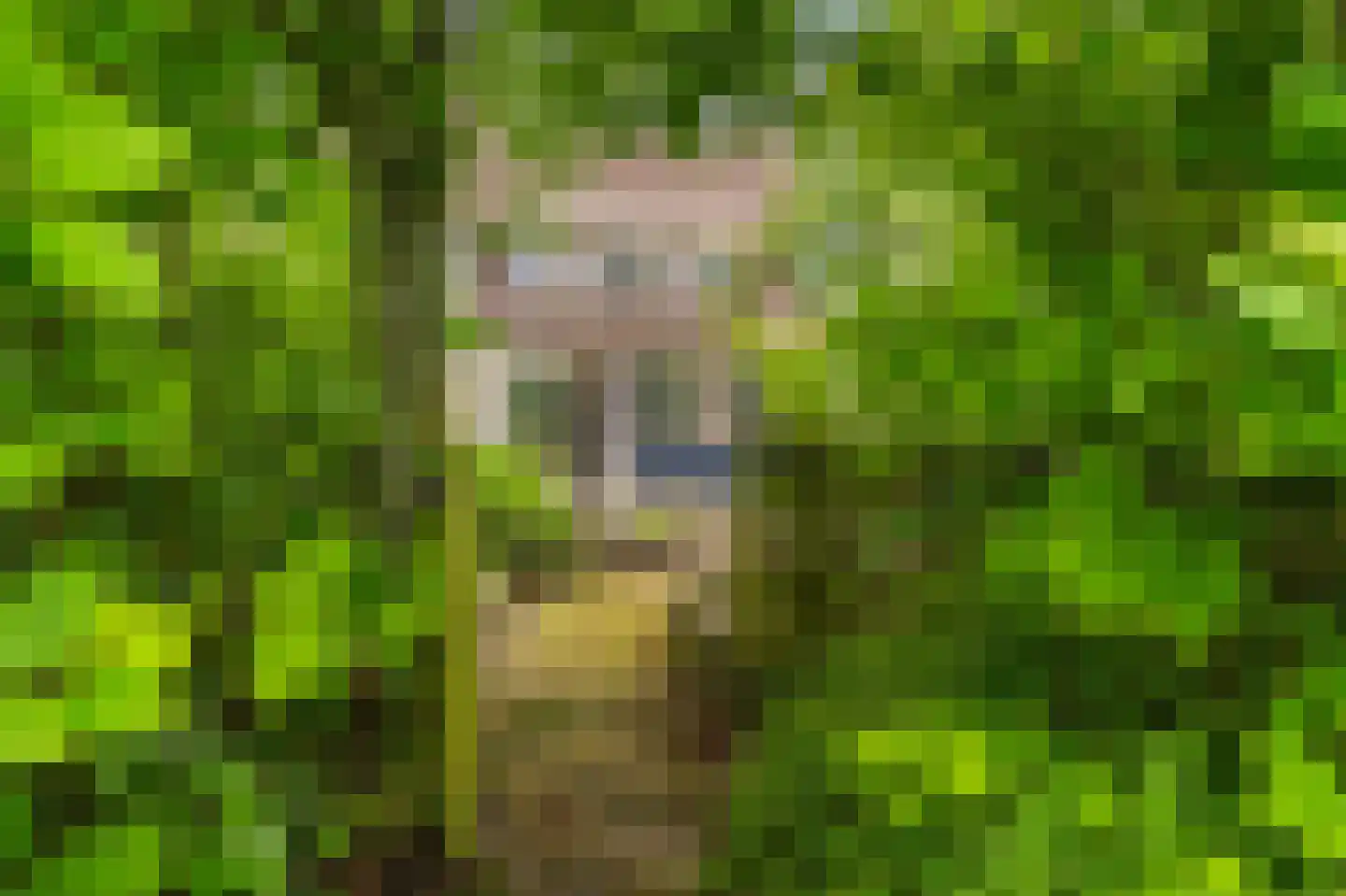 Egge 12 Delfzijl thumbnail 13