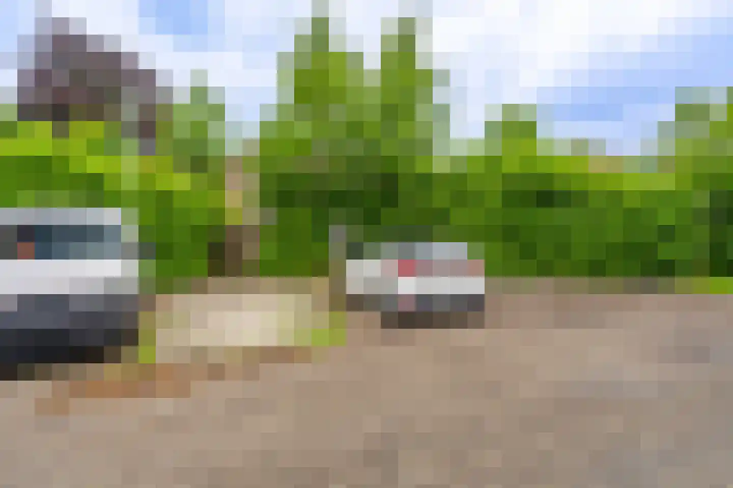 Egge 12 Delfzijl thumbnail 14