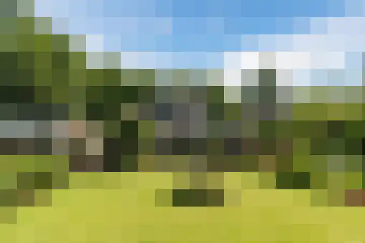 Egge 5 Veldhoven thumbnail 4