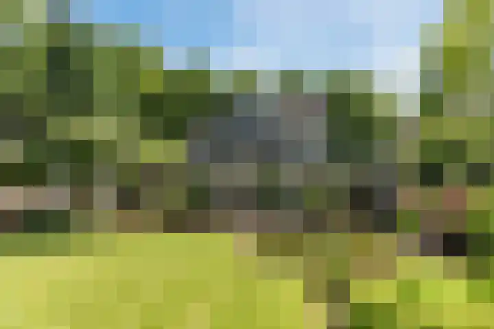 Egge 5 Veldhoven thumbnail 45