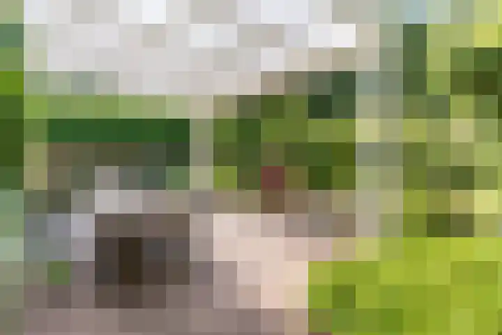 Egge 5 Veldhoven thumbnail 47