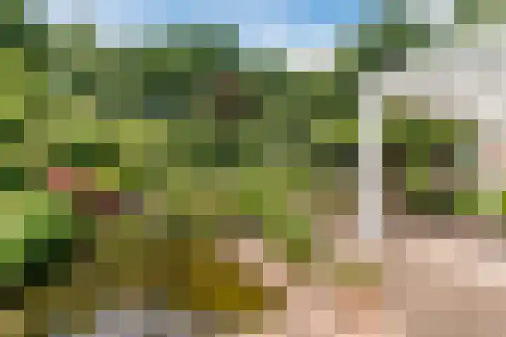 Egge 5 Veldhoven thumbnail 48