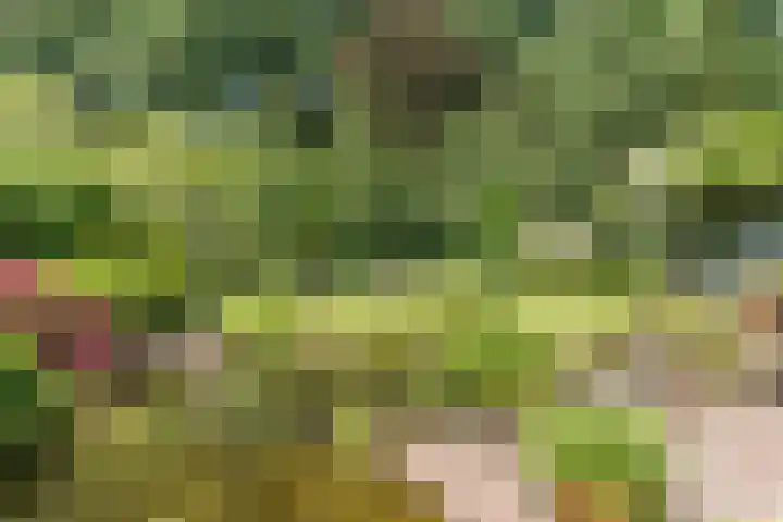 Egge 5 Veldhoven thumbnail 49