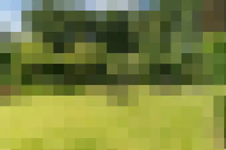 Egge 5 Veldhoven thumbnail 5