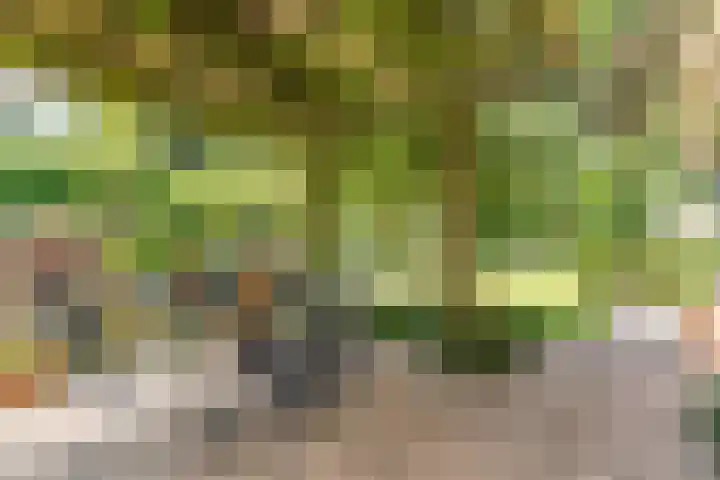Egge 5 Veldhoven thumbnail 52