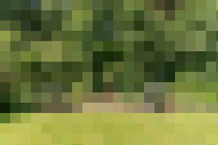 Egge 5 Veldhoven thumbnail 54