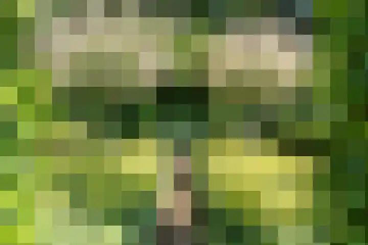 Egge 5 Veldhoven thumbnail 55