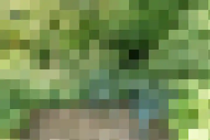 Egge 5 Veldhoven thumbnail 56