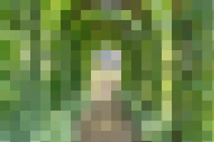 Egge 5 Veldhoven thumbnail 57