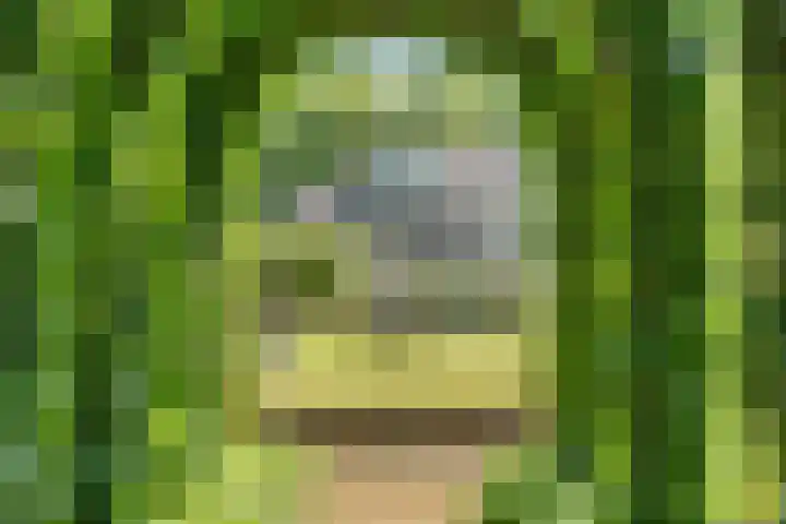 Egge 5 Veldhoven thumbnail 58