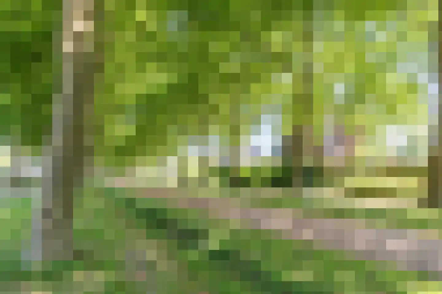 Egge 9 Veldhoven thumbnail 35