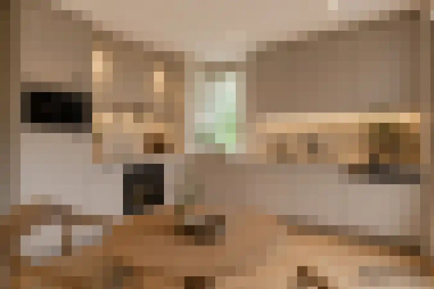 Egge 9 Veldhoven thumbnail 4