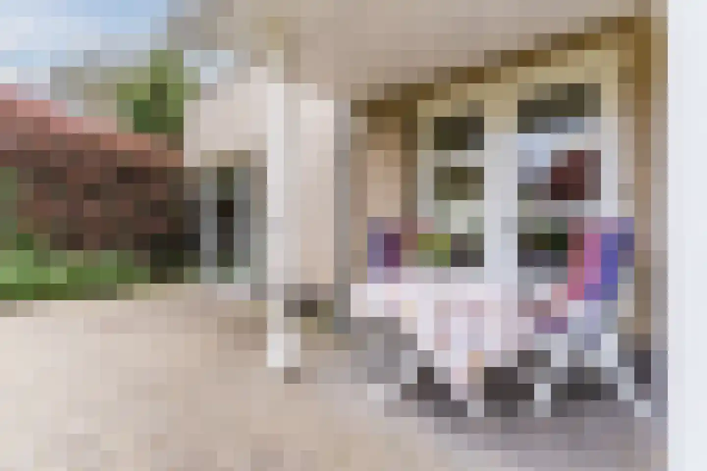 Egge 9 Veldhoven thumbnail 48