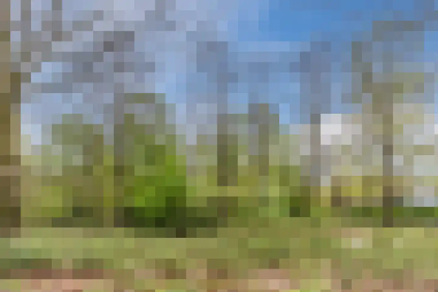 Egge 9 Veldhoven thumbnail 50
