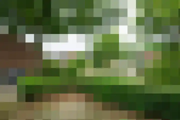 Eggedreef 112 Doetinchem thumbnail 11