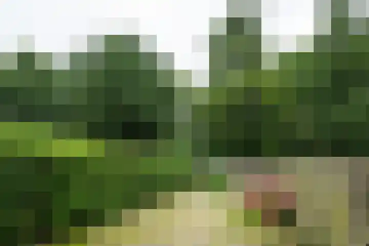 Eggedreef 112 Doetinchem thumbnail 31