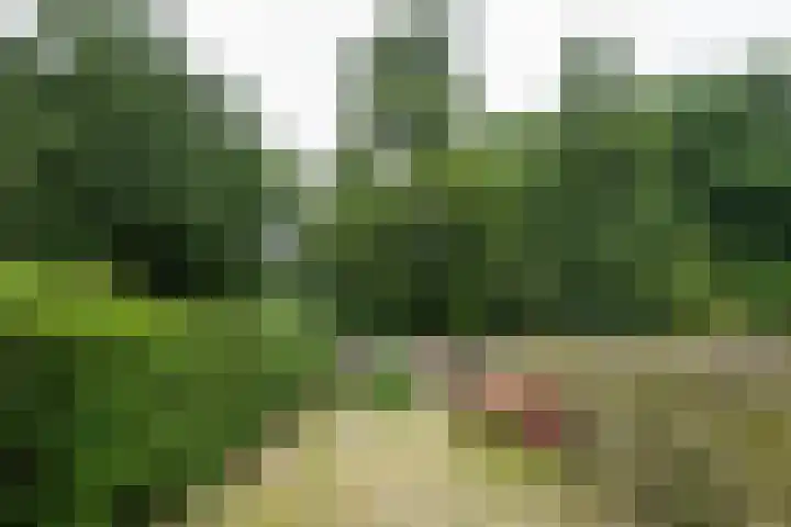 Eggedreef 112 Doetinchem thumbnail 32