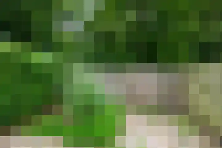 Eggedreef 112 Doetinchem thumbnail 33