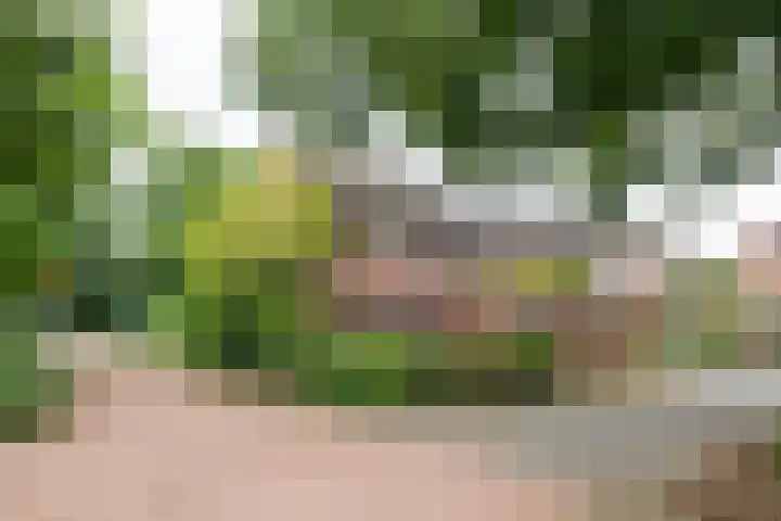 Eggedreef 112 Doetinchem thumbnail 4
