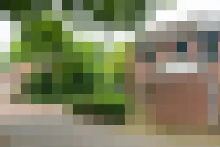 Eggedreef 112 Doetinchem thumbnail 6