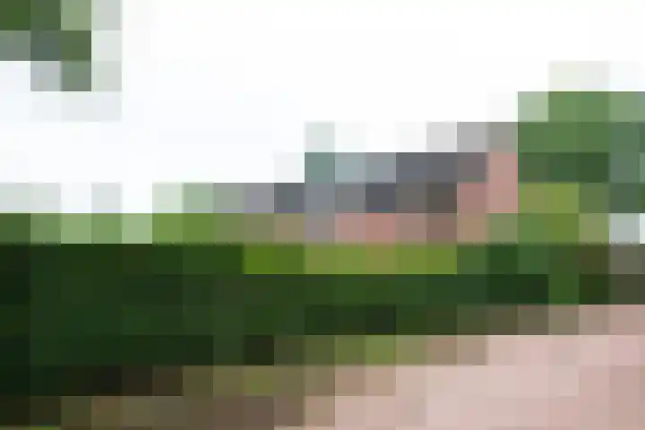 Eggedreef 112 Doetinchem thumbnail 8
