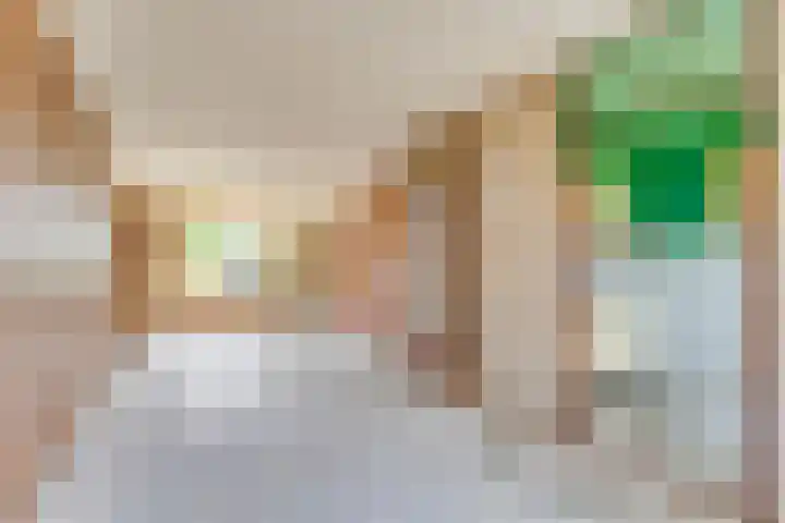 Eggedreef 41 Doetinchem thumbnail 16