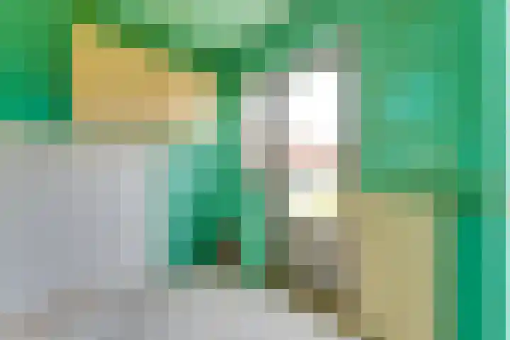 Eggedreef 41 Doetinchem thumbnail 17