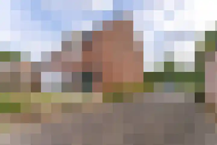 Eggedreef 41 Doetinchem thumbnail 37