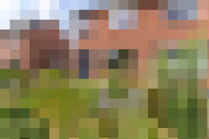 Eggedreef 41 Doetinchem thumbnail 8